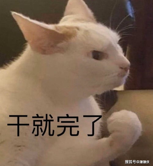 搞笑表情包图片你害怕的时候会这样吗