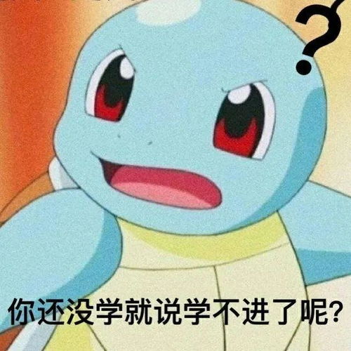 宠物被检出冠状病毒阳性,而更让人担心的却不是被传染....