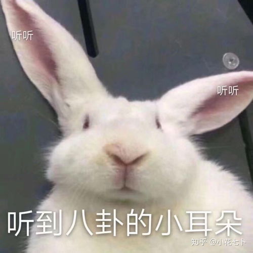 男友自己解决生理需求代表了已经对我没兴趣了吗