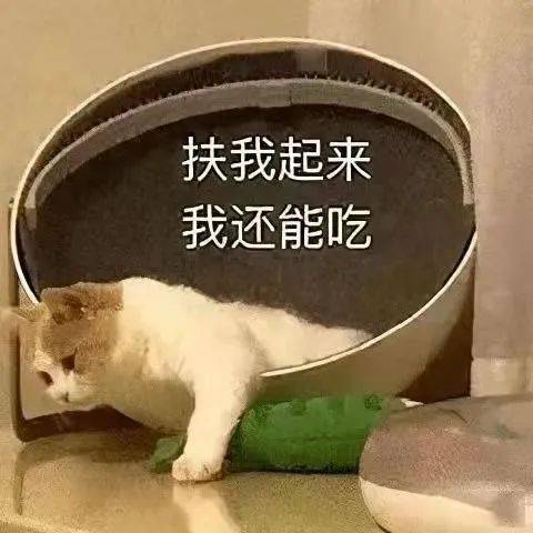 北师珠新增24小时机器人餐厅无广探店来啦