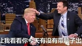 我的神风特攻队生涯