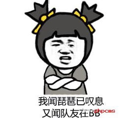 王者荣耀斗图表情包第七十四期不及队友坑到死