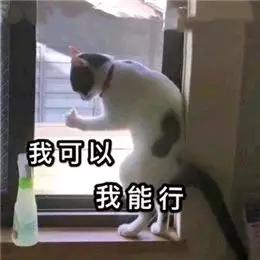 当了这么多年开学恐惧症患者,我终于靠这套表情包洗脑自救成功