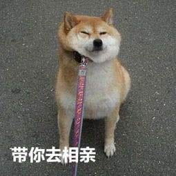 闺蜜和我吐槽相亲对象,没想到见面后真香了哈哈哈笑吐了
