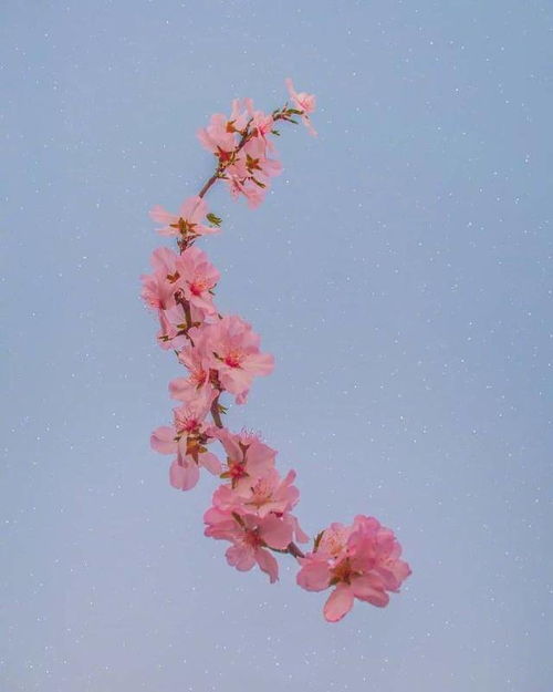 文案情若能自控,要心有何用