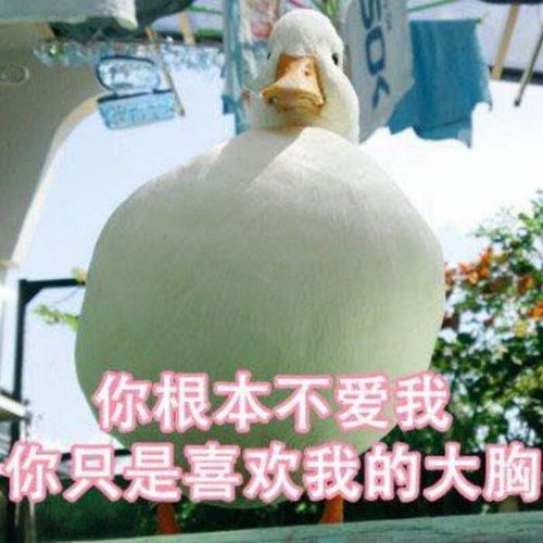 情人节男朋友没送任何礼物,但平时很大方不抠门,...
