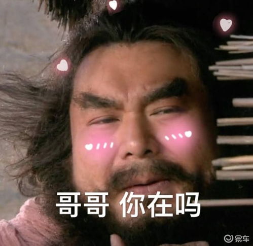 欧拉猫pk哈弗狗对不起,我是养狗党