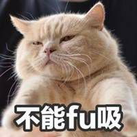 搞笑猫咪表情包微信头像图片大全
