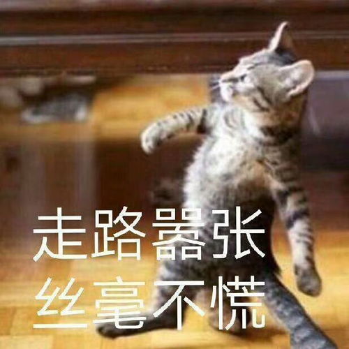 招新文思如泉,艺中是你,风景也是你