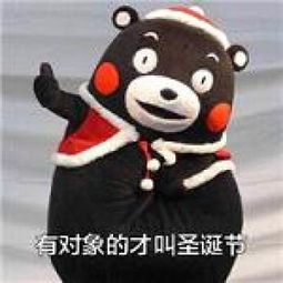 熊本熊搞笑版圣诞节表情包有对象的才叫圣诞节腾牛个性网