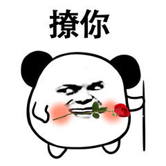 小熊猫头斗图表情包