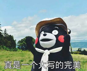 气温低至5双十二寒潮来袭,番禺今年最冷的日子准备要来了