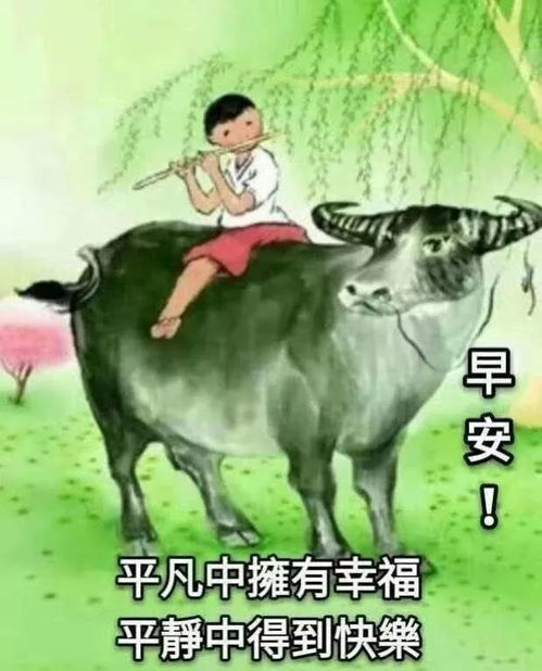 表情2019最新群发早上好问候动态表情图片,暖心早上好图片表情祝福...表情