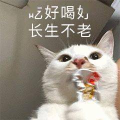 沙雕表情不用担心,我每天睡眠很充足