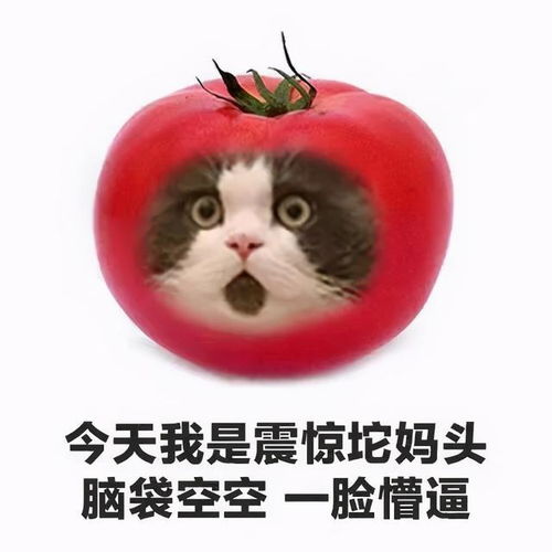 今日表情,简简单单
