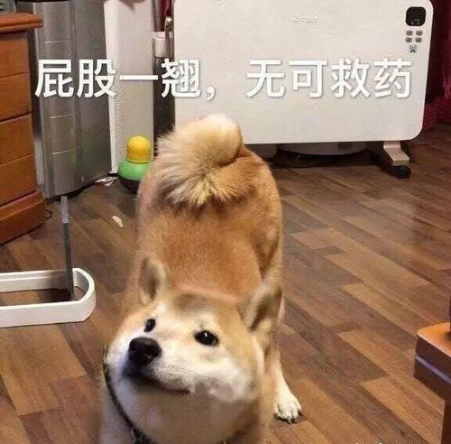 沙雕搞笑表情包大全