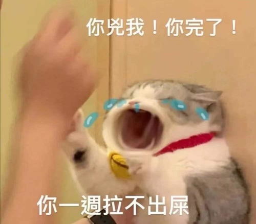 恋爱实用表情包