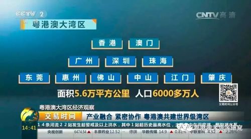 表情所有线索剧透,粤港澳大湾区龙头并不是深圳表情