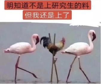 2020年西华师大333教育综合学科英语考研经验风华正茂时,辞职去考研