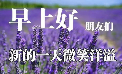 早上好温馨语录图片表情,清晨问候早安祝福语动态图片