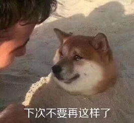 一吵架就去睡觉的男人,好烦啊啊啊啊啊女性成长