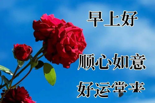 11月11日最漂亮动态表情图片大全
