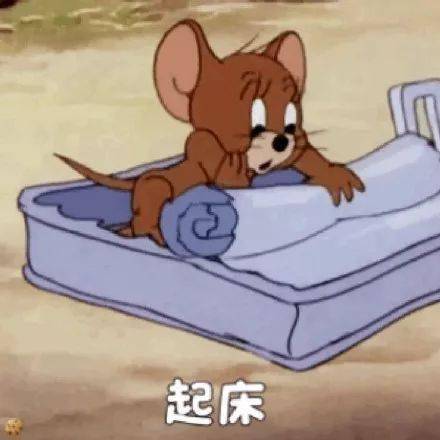 猫和老鼠表情包睡吧别骚了