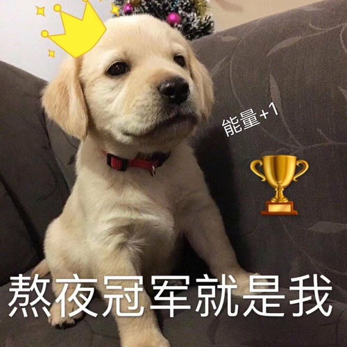 我宣布退出熬夜界,加入养生界