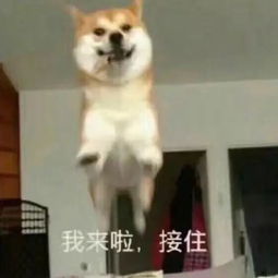 超实用的懒人修图法不用电脑也能p美照