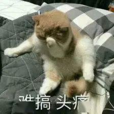 最少1032元月福州人注意,这笔钱记得去领