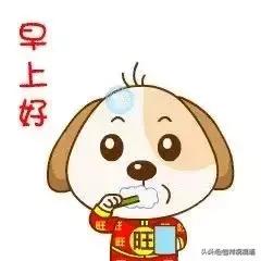 2020朋友圈很漂亮的早安问候表情包,微信早安问候语动态图片
