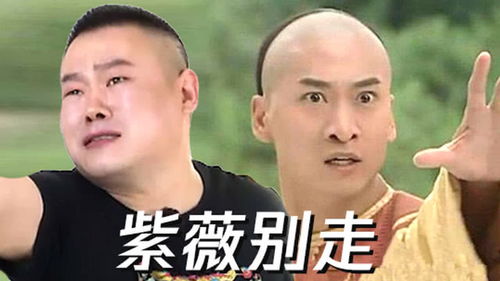 岳云鹏爆笑模仿尔康表情包,嫌贾乃亮不上网冲浪