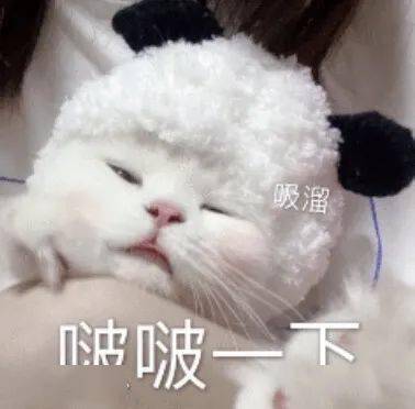 日常沙雕表情包