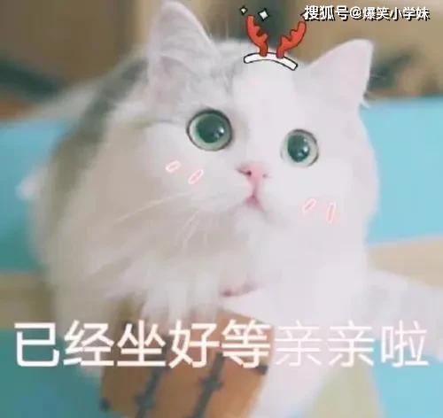 爆笑gif等我打完这一把再去结婚