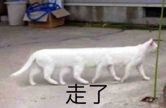 沙雕表情包你明天帮我上班