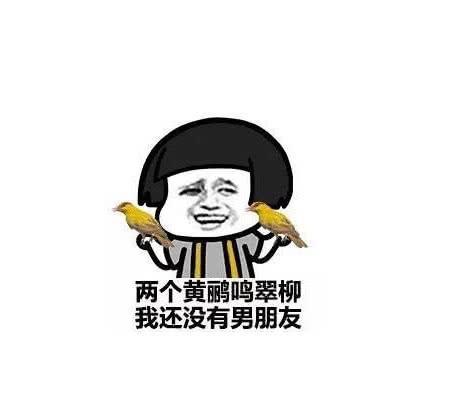 搞笑表情包了解一下两个黄鹂鸣翠柳,我还没有男朋友