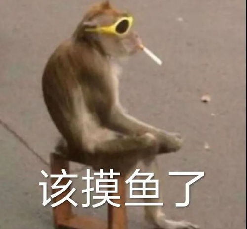 一组猴猴表情包