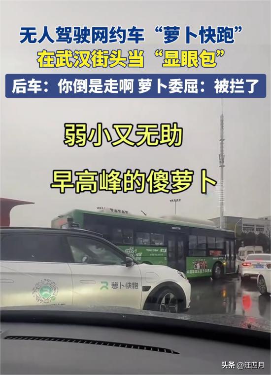 搞不赢了武汉街头勺萝卜大罢工,造成拥堵,帽子叔叔表情亮了