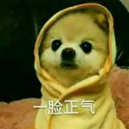 一竿出雷钻,说好的佛系玩家钓鱼呢
