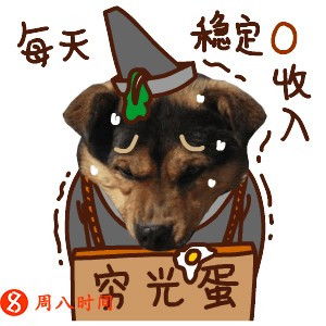写手的春天在哪里周八时间告诉你