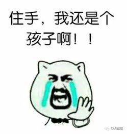 假的哪有那么多史上最严交规朋友圈疯传交规大辟谣