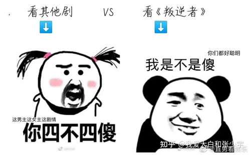搞笑视频表情包下载表情