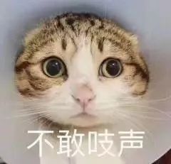 山东各市的最新地价数据出炉威海竟然排在