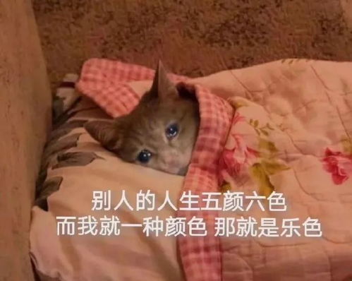 表情包嬉皮笑脸