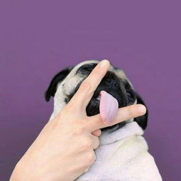 赵老师xmu的微博微博