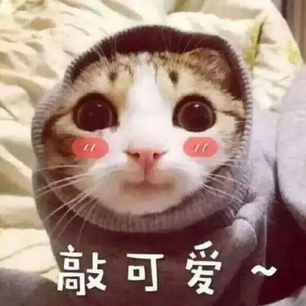 入秋衣服别乱买,有这几款经典外套就够了