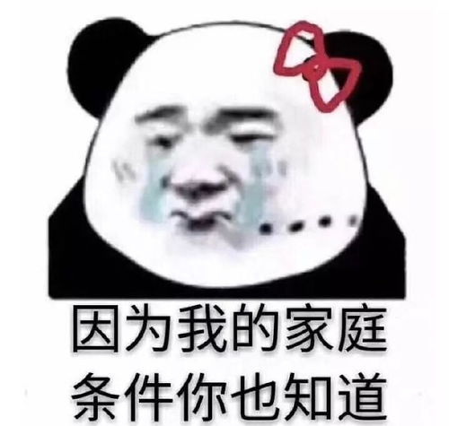 论与阿姨的相处之道