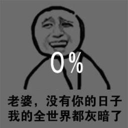 妻奴的自我修养表情包