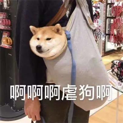 七夕好礼享不停跨境小白实训课免费送啦赶快来参加