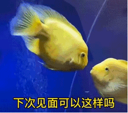 有大饼的表情包17